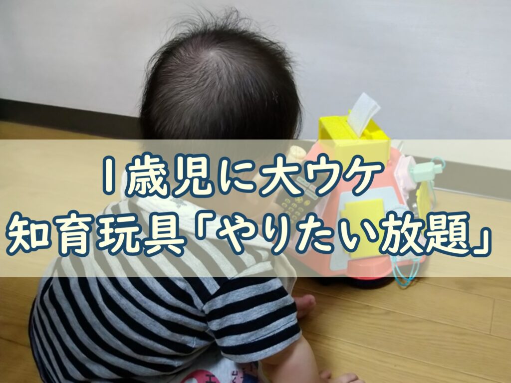 やりたい放題